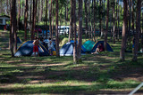Fototapeta Desenie - Camping In the woods