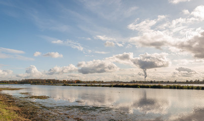 Sticker - Flooded polder in the Dutch National Park De Biesbosch