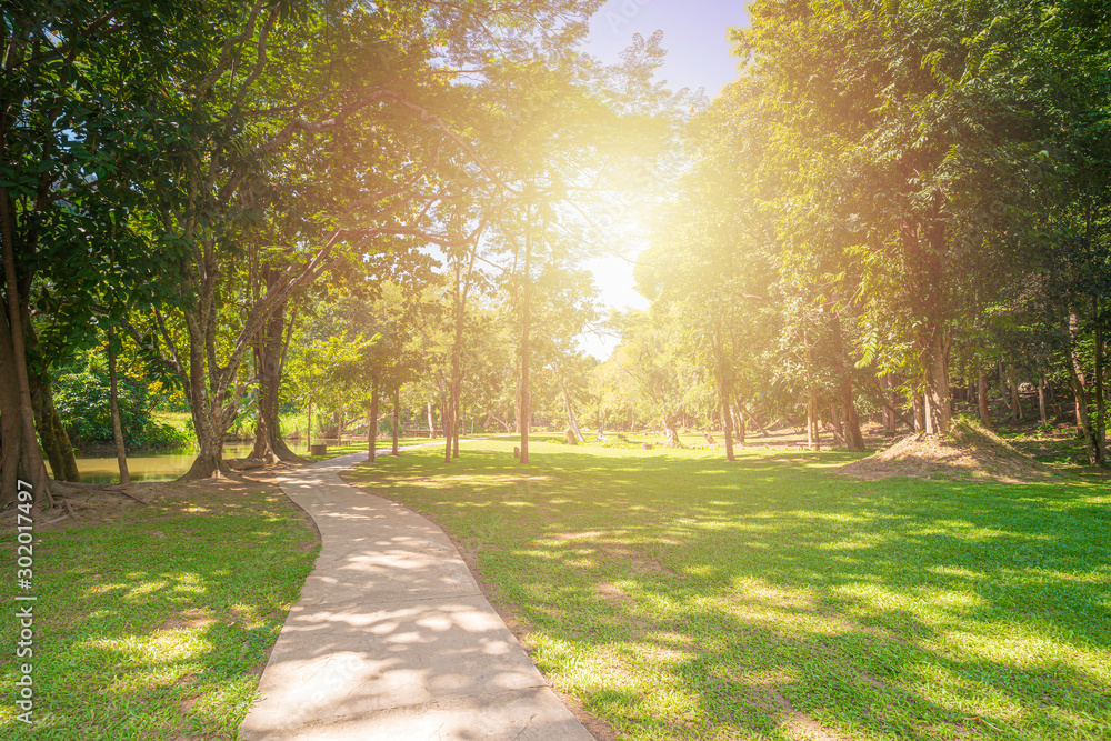 New pathway and beautiful trees track for running or walking and cycling relax in the park on green grass field on the side of the golf course. Sunlight and flare background concept. - obrazy, fototapety, plakaty 