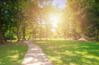 canvas print picture - New pathway and beautiful trees track for running or walking and cycling relax in the park on green grass field on the side of the golf course. Sunlight and flare background concept.