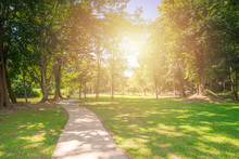 New Pathway And Beautiful Trees Track For Running Or Walking And Cycling Relax In The Park On Green Grass Field On The Side Of The Golf Course. Sunlight And Flare Background Concept.