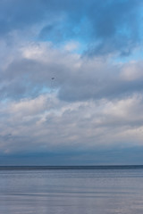Wall Mural - Baltic Sea Beach in November on a Cloudy Day