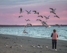 Woman At Sea Feeding Birds At Sunset