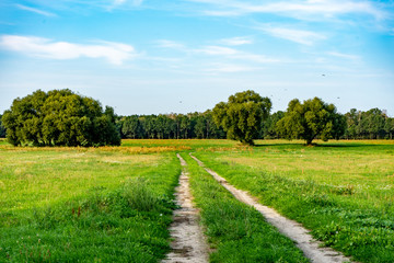 road in the countryside