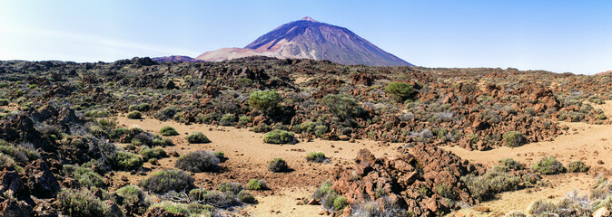 Canvas Print - Volcanic view on Tenerife island, Spain