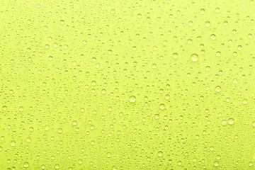 Water drops on green background