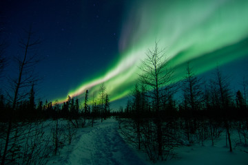 northern lights in canada