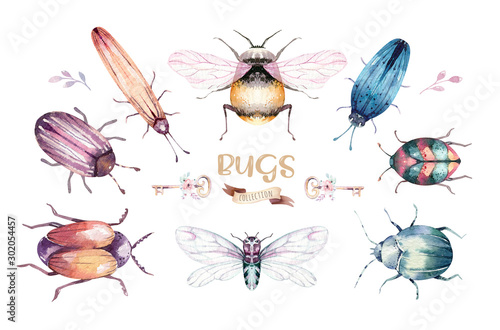Fotografía Set of watercolor bright beetles, bugs fly and bees