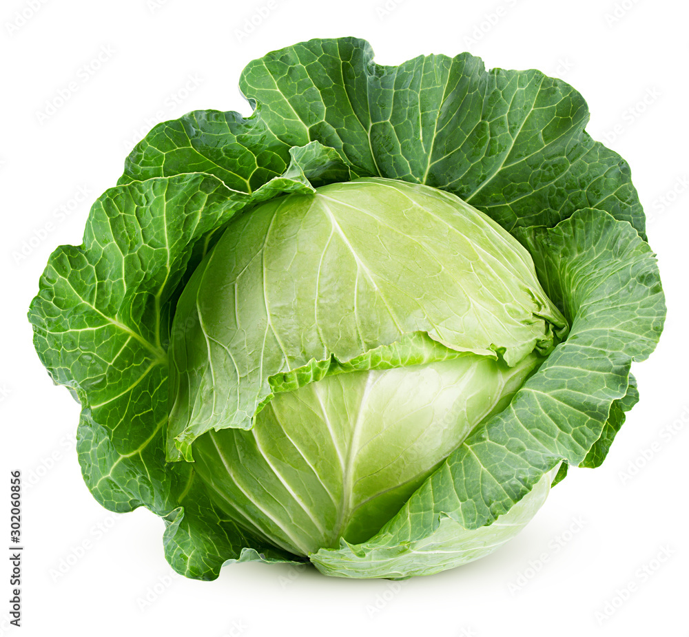 cabbage isolated on white background, clipping path, full depth of field - obrazy, fototapety, plakaty 