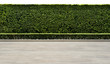 Long tree hedges, double layers (two steps); small and tall hedges.  Upper part isolated on white background. Textured concrete road in foreground.