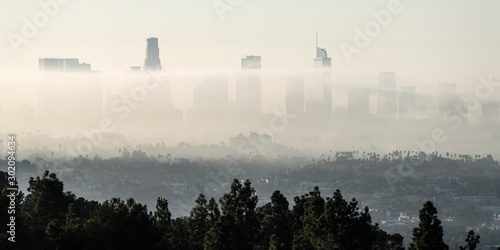Panorama view of morning fo...