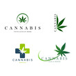 set of green medical cannabis emblem, logo . classic vintage style