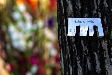 tree trunk with paper with the phrase: Take A Smile and with a smile symbol sign ready to be tore off, defocused bokeh background - image