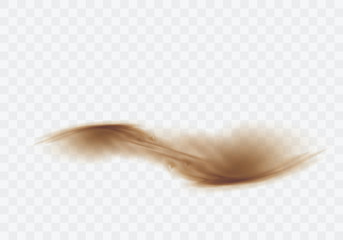 Wall Mural - desert sandstorm, brown dusty cloud or dry sand flying with gust of wind, explosion realistic textur