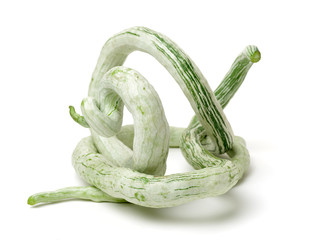 Wall Mural - snake gourd on white background