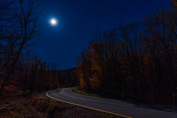Wall Mural - empty road in the autumn forest on a moonlit night
