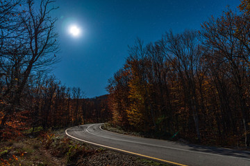Wall Mural - empty road in the autumn forest on a moonlit night