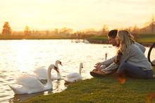 Young Couple Near Lake With Swans At Sunset. Perfect Place For Picnic