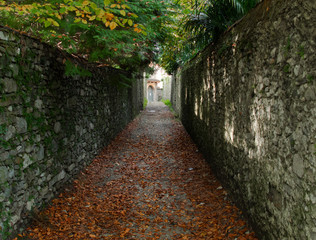 stone fences of two large tree-lined parks