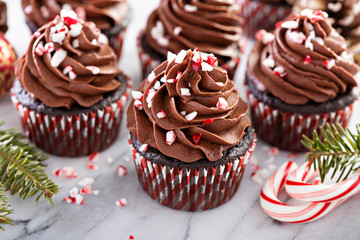 Wall Mural - Chocolate peppermint cupcakes with candy cane crumbs for Christmas