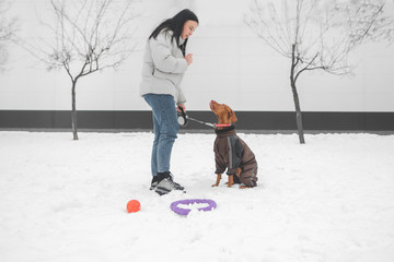 Wall Mural - Woman in winter clothes and a dog on a leash stand in the snow on the background of a white wall. The girl trains a dog on a winter walk.