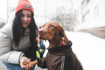 Canvas Print - Close-up portrait of a dressed dog walking with a girl on a winter day. Focus on the cute face of the dog. Owner and the dogs on the walk. Close up of a pet and happy girl against the background.