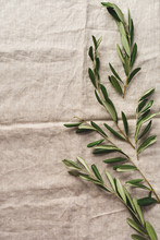 Bouquet Of Fresh Olive Tree Branches On An Old Vintage Gray Napkin Tablecloth Table Background. Natural Product Concept. Top View.
