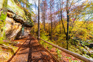 Wall Mural - Felsformation des Sandsteingebirges am Wandereg zum Prebischtor