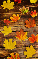 Wall Mural - autumn background with maple leaves lie on horizontally arranged old wooden boards. top view wooden 