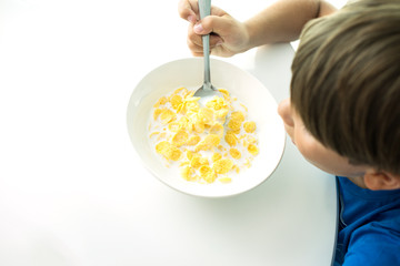 cereal with milk in a white plate for breakfast, space for text, isolate