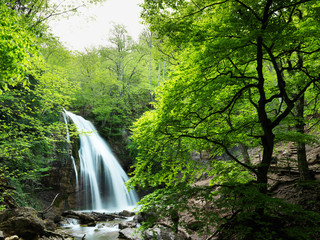 Wall Mural - Natural Spring Waterfall