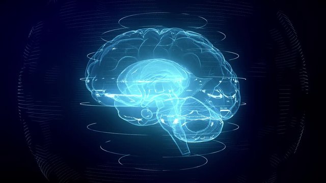 Wall Mural - Futuristic blue digital brain seamless loop. Neurons firing in MRI scan of artificial intelligence neural network. Medical research of brain activity. Deep learning, AI and modern technology 3D render