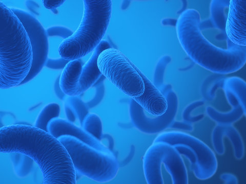 Wall Mural -  -  Blue bacteria background