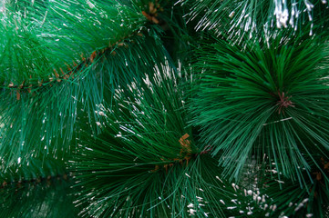 Beautiful artificial Christmas tree with fluffy green branches and white hoarfrost on needles closeup