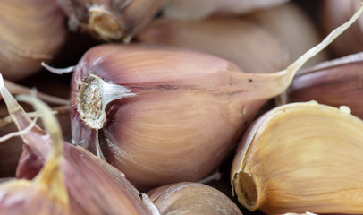 Wall Mural - Cloves of garlic as a background