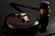 Whistleblower protection law and freedom of information legislation conceptual idea with metal whistle and wooden judge gavel on dark background