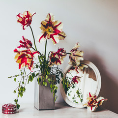 Wall Mural - Red and White Striped Tulip, Semper Augustus.