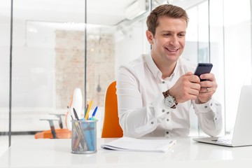 Wall Mural - Businessman using smartphone in office