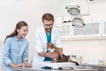 Wall Mural - Vet examining cat with the owner in clinic