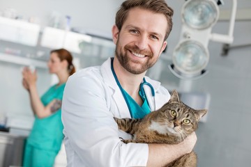 Wall Mural - Photo of male veterinarian carrying cat in clinic