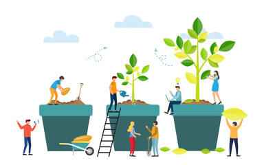 grow stages of tree from seed to large plant.