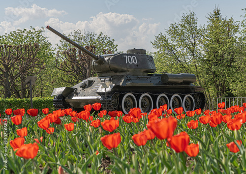 Fotomural Victory tank T-34-85 in the Park among tulips against the sky