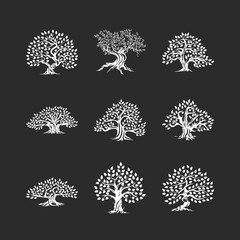 Poster - Beautiful magnificent olive tree silhouette icon set isolated on black. Modern virgin natural plant vector sign collection. Premium quality illustration organic ecological logo design emblem bundle.