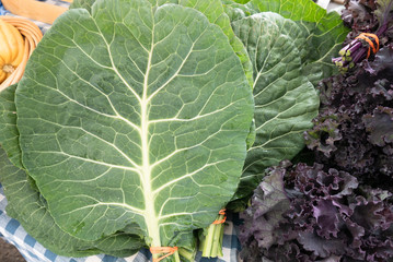 Wall Mural - Collards and Kale at the market