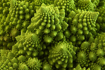 romanesco broccoli or roman cauliflower, close up shot from above, texture detail of the healthy veg