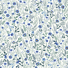 Seamless Floral Pattern With Blue Meadow Flowers