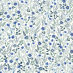  bezszwowy kwiecisty wzór z błękitnymi łąkowymi kwiatami