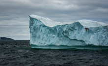 Large Iceberg Off The Coast Of St. Anthony, Newfoundland