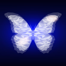 Inverted Triangular Butterfly Triangular Butterfly Free Stock Photo - Public Domain Pictures