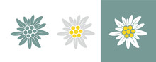 Edelweiss Logo. Isolated Edelweiss On White Background